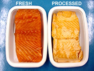 Fresh and Processed Salmon